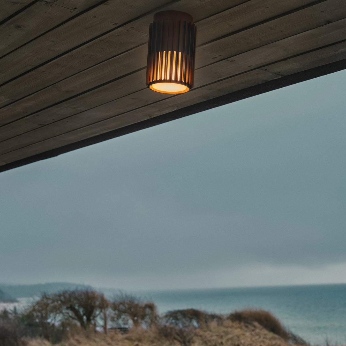 Aludra Coastal Surface Mounted Ceiling Light In Metallic Brown