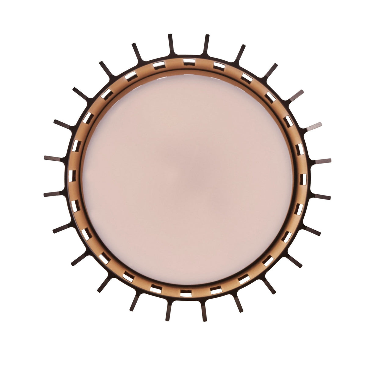 Aludra Coastal Surface Mounted Ceiling Light In Metallic Brown