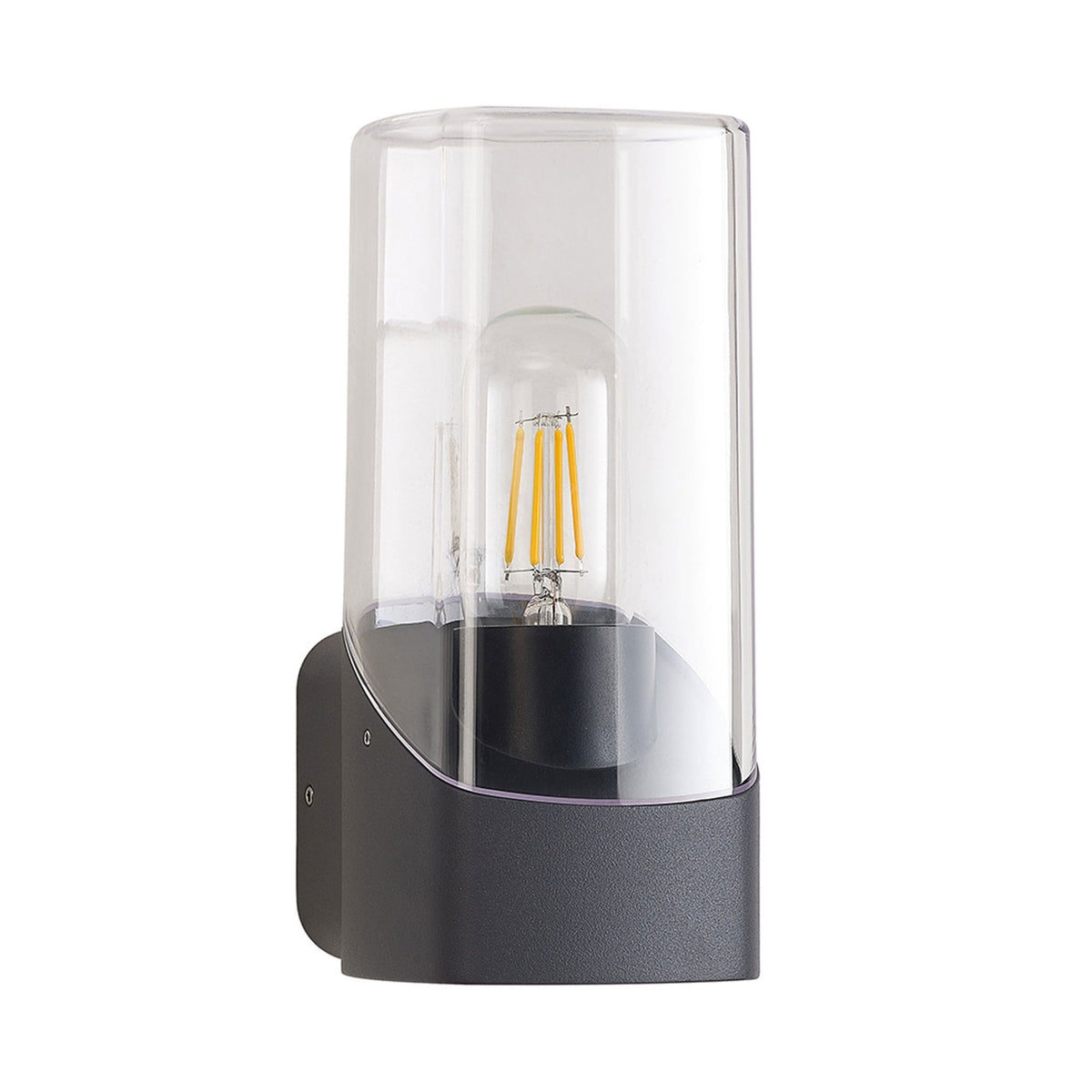 Aspatria Exterior IP44 Wall Light in Dark Grey with Clear Diffuser