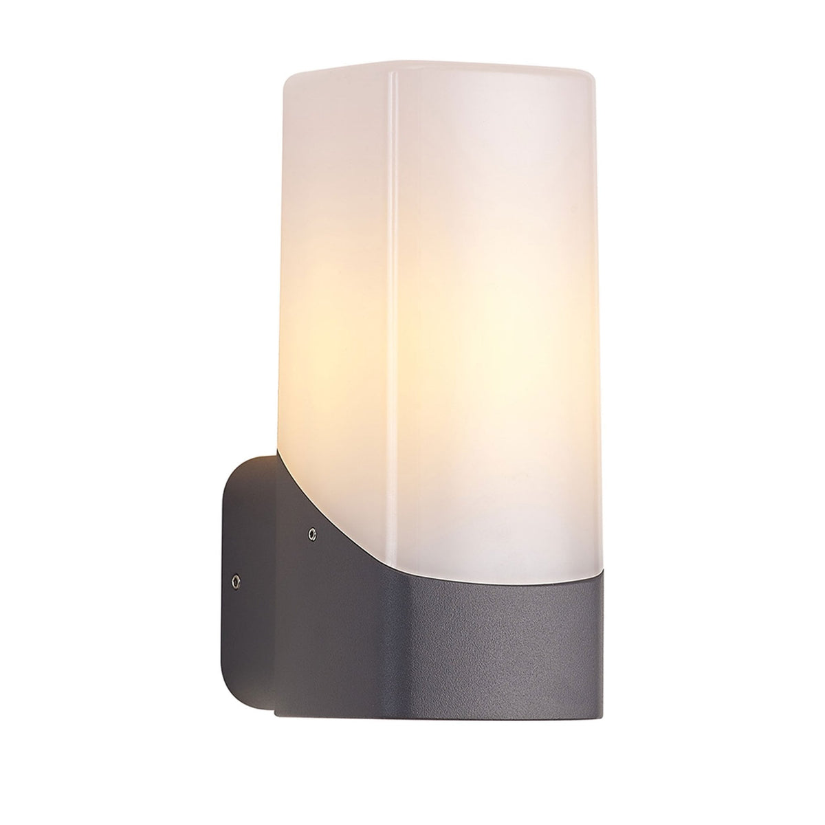 Aspatria Exterior IP44 Wall Light in Dark Grey with Opal Diffuser