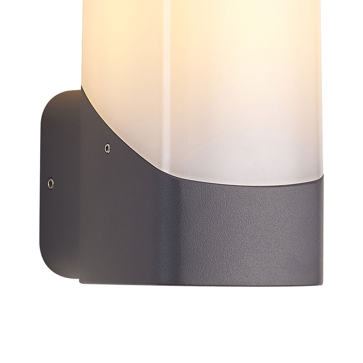 Aspatria Exterior IP44 Wall Light in Dark Grey with Opal Diffuser