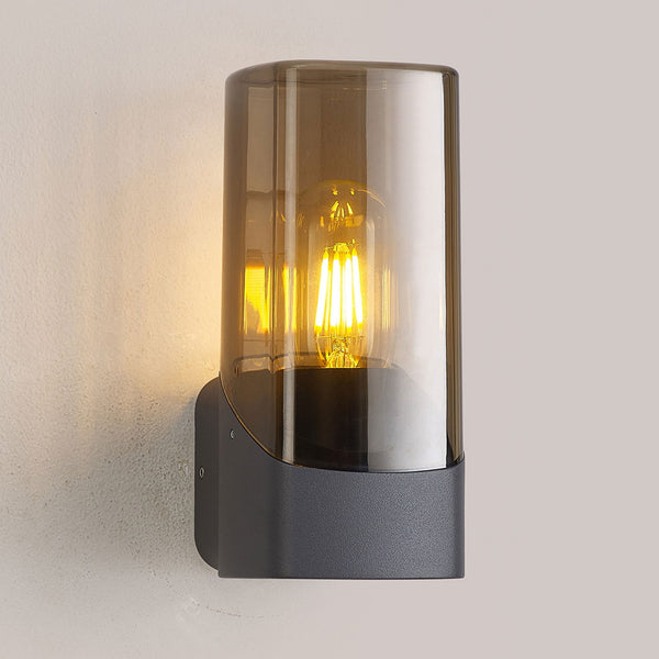 Aspatria Exterior IP44 Wall Light in Dark Grey with Smoke Diffuser