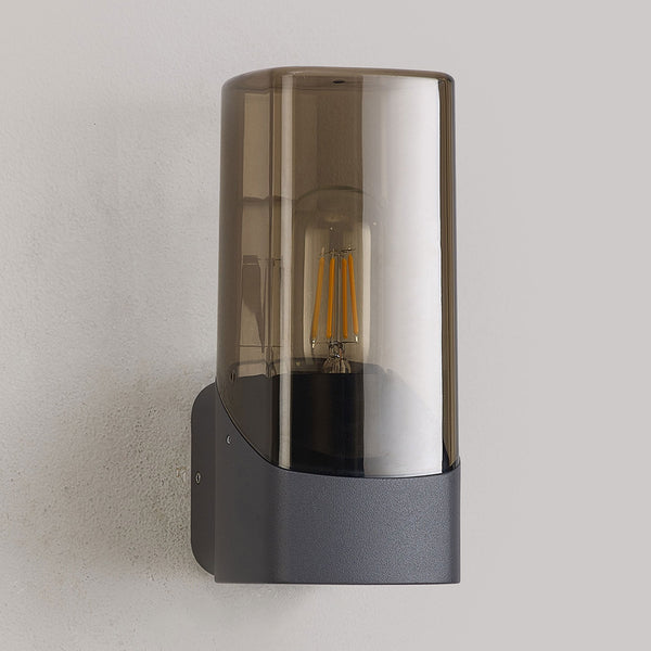 Aspatria Exterior IP44 Wall Light in Dark Grey with Smoke Diffuser