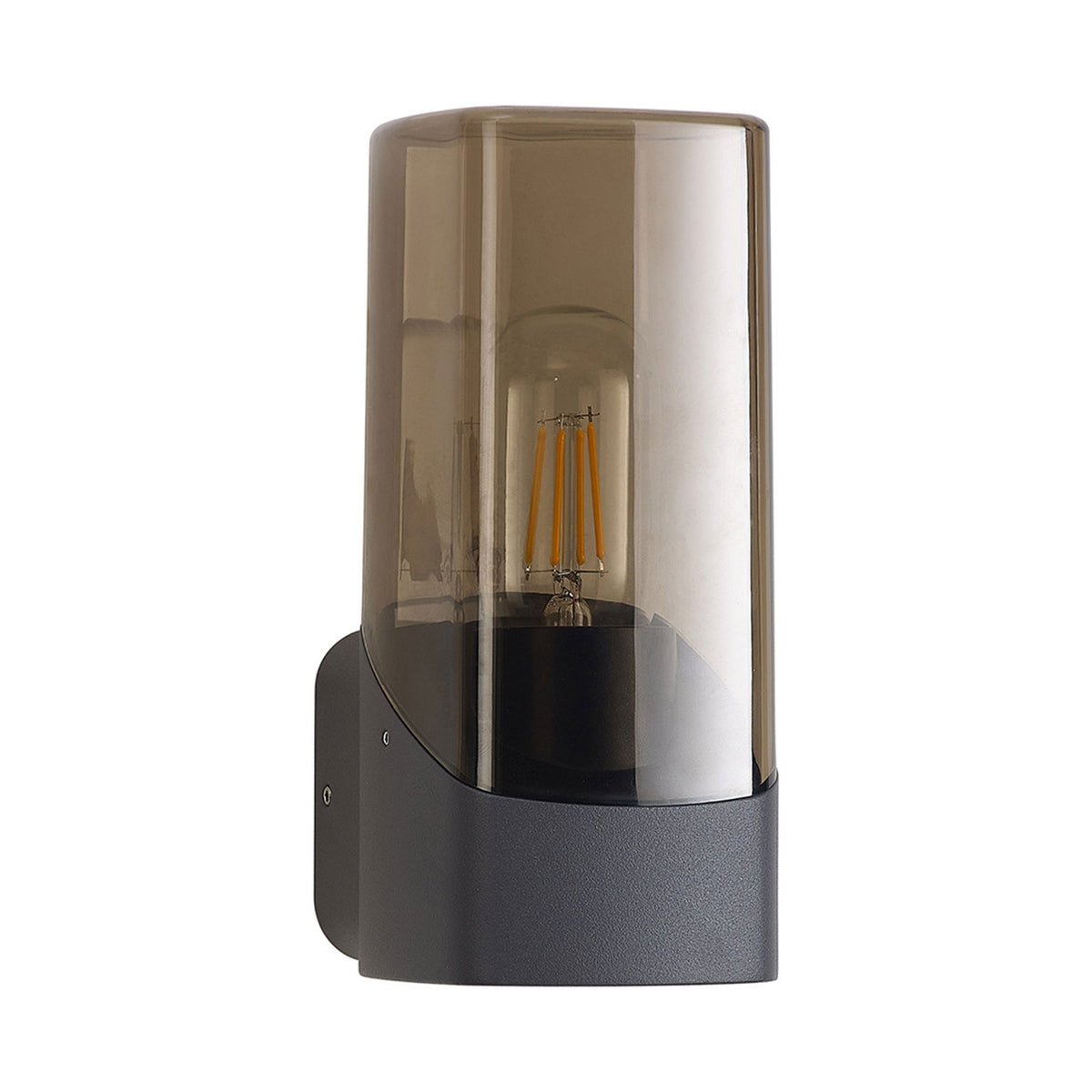 Aspatria Exterior IP44 Wall Light in Dark Grey with Smoke Diffuser