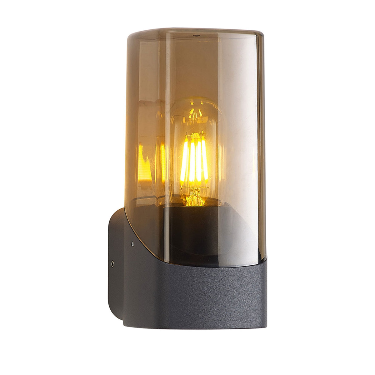 Aspatria Exterior IP44 Wall Light in Dark Grey with Smoke Diffuser