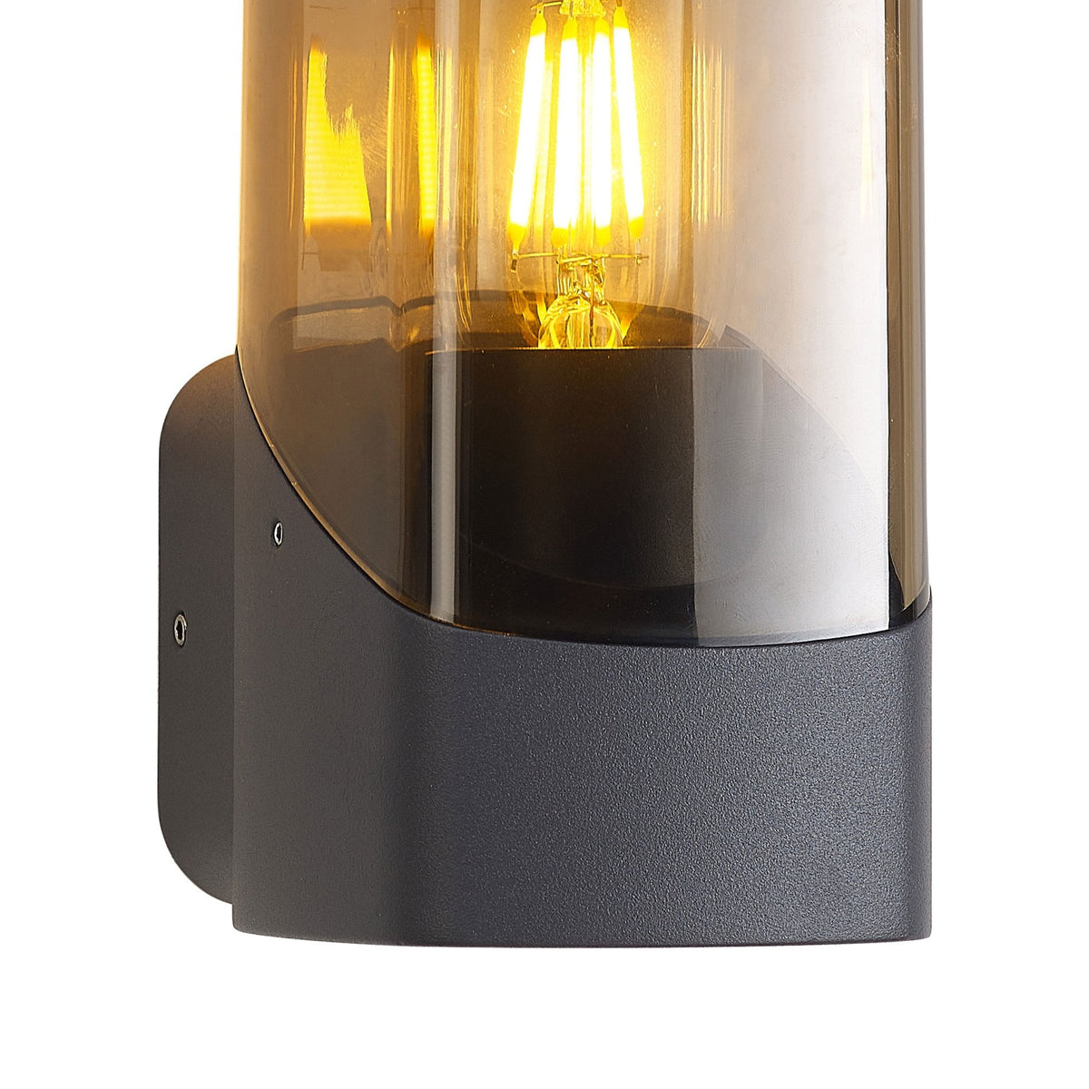 Aspatria Exterior IP44 Wall Light in Dark Grey with Smoke Diffuser