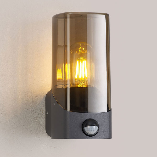 Aspatria PIR Exterior IP44 Wall Light in Dark Grey with Smoke Diffuser