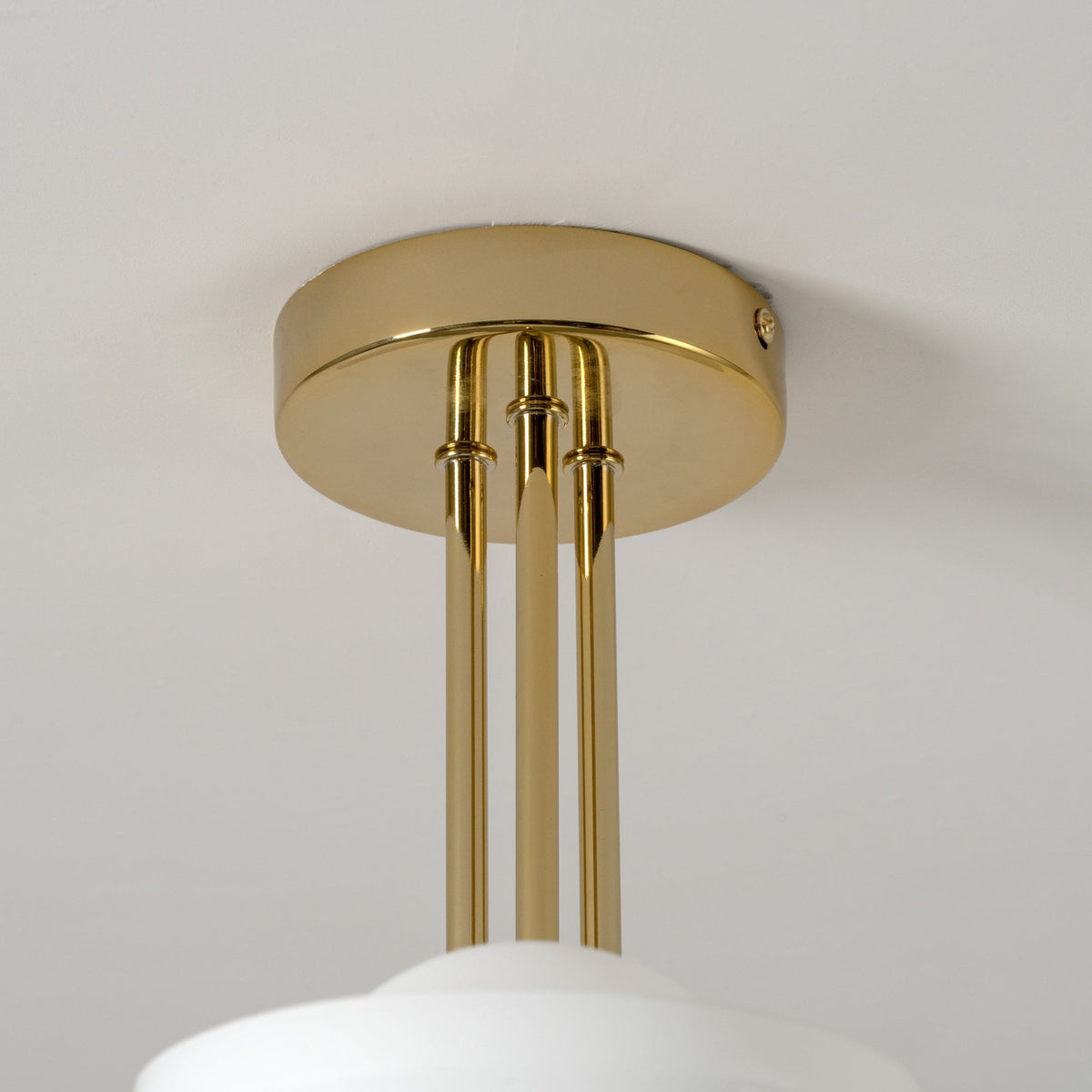 A close up of the chandelier's ceiling rose on a white ceiling.