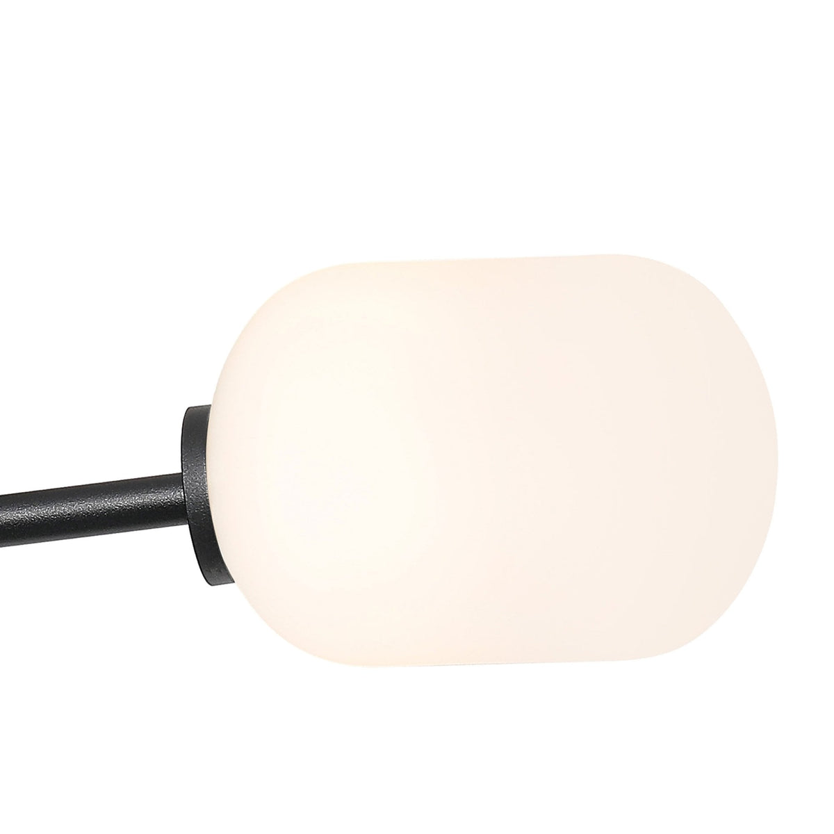 A detailed close-up of a single white oval shade on a black ceiling light.