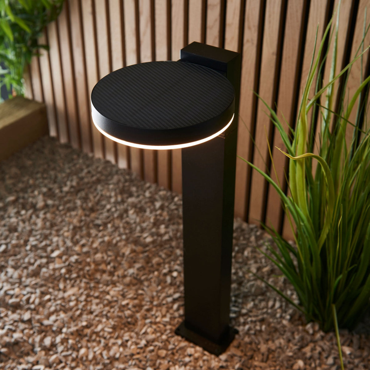 A black outdoor light with a circular LED, enhancing a garden with a wooden backdrop.