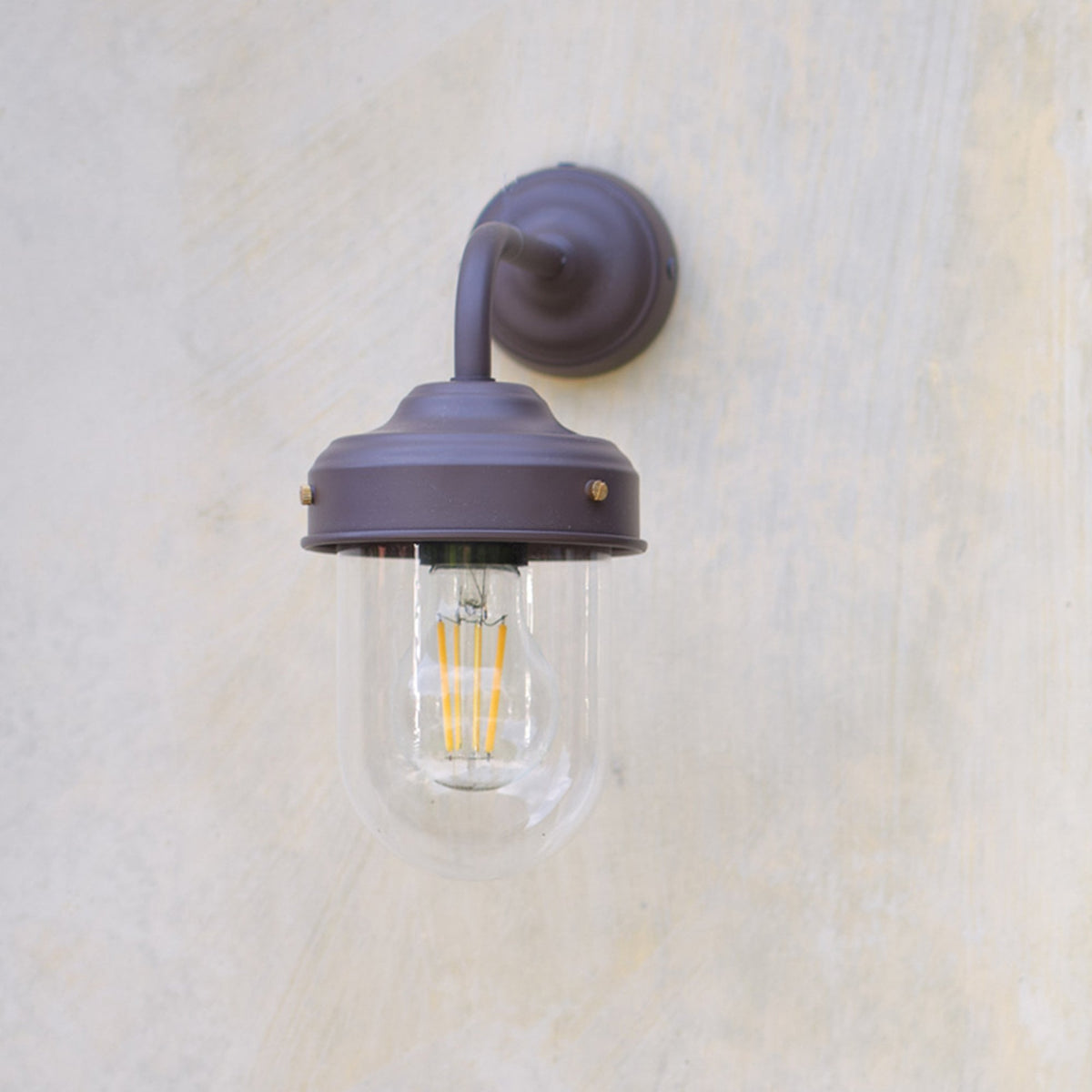 A close-up of a dark bronze outdoor wall light with a clear glass shade and an exposed filament bulb.