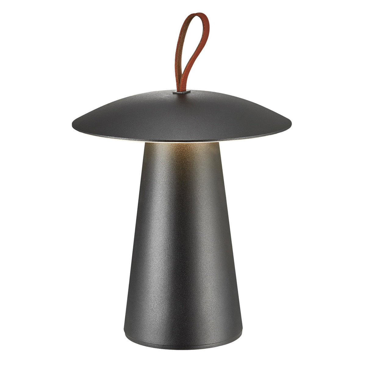 Ara To-Go Rechargeable Portable Table Lamp in Black