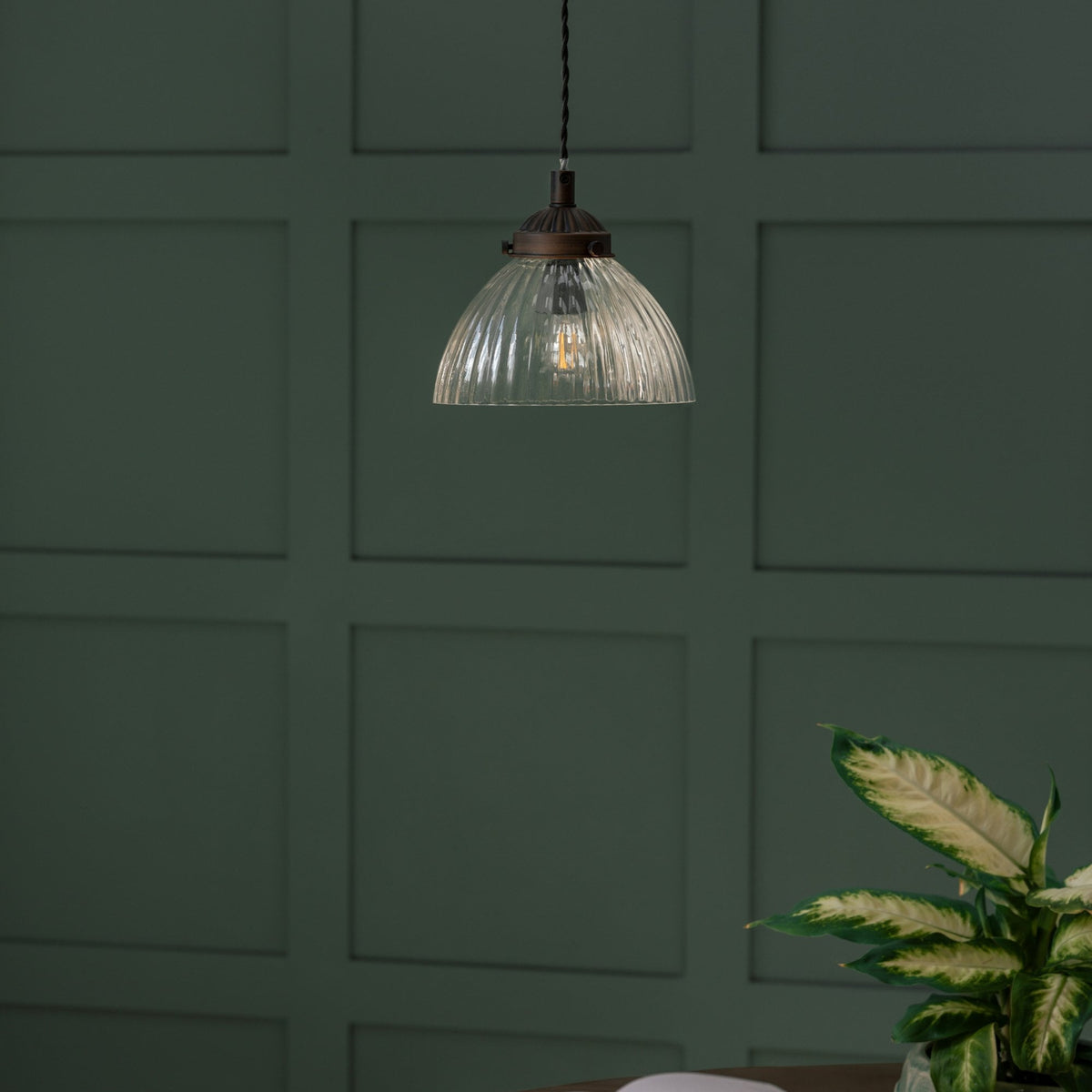 A ribbed glass pendant light with a bronze fixture hangs against a dark green paneled wall, with a plant in the foreground.