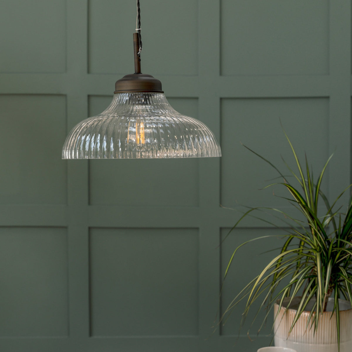 A ribbed glass pendant light with a bronze fitting hangs against a dark green paneled wall, with a plant to the right.