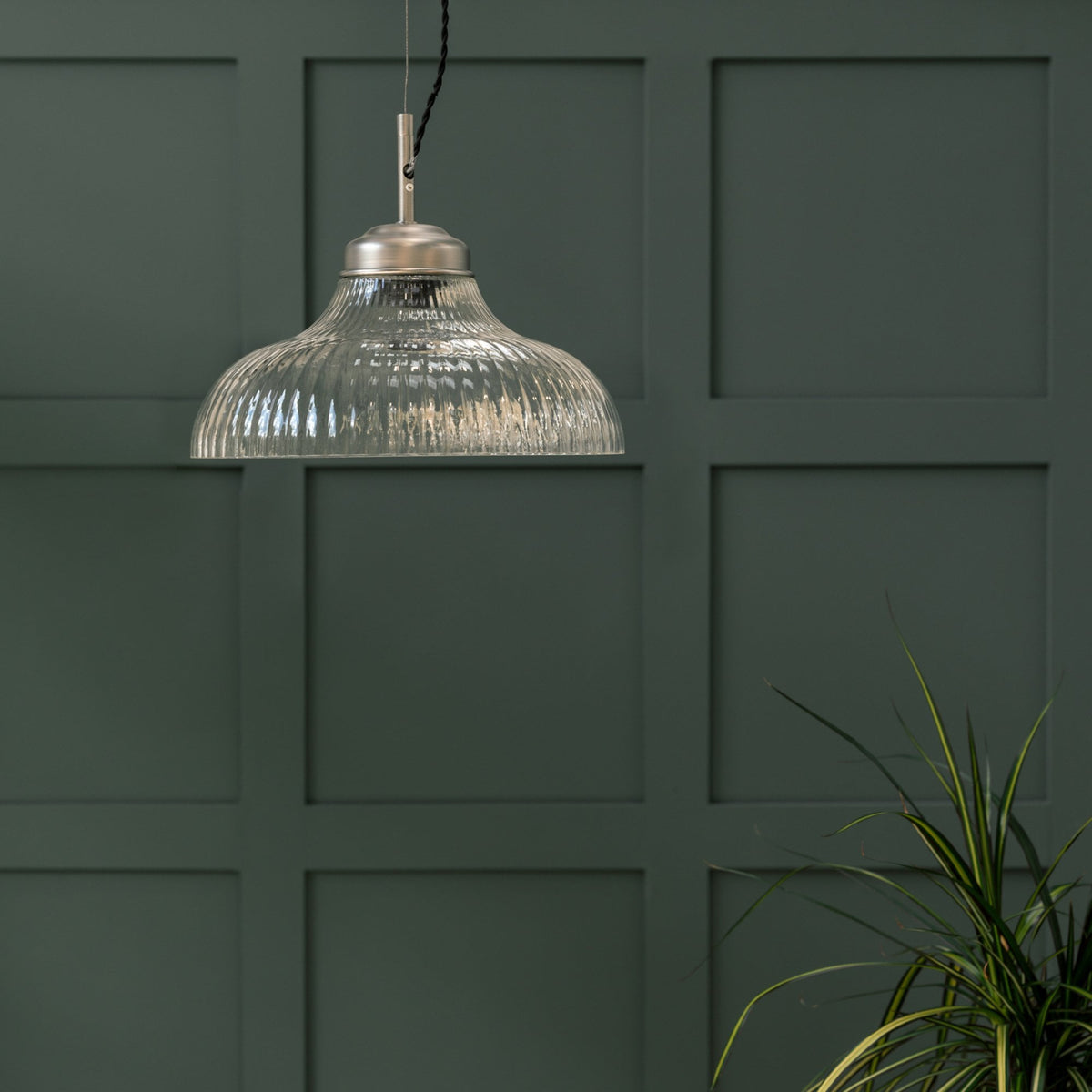 Ribbed glass pendant light with a brushed steel fitting against a dark green paneled wall. A plant is in the foreground.