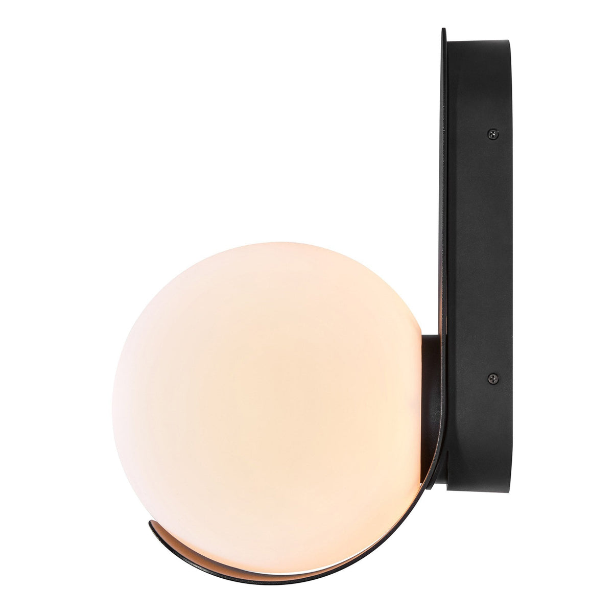 Dalius Outdoor IP44 Wall Light in Black with Opal Diffuser