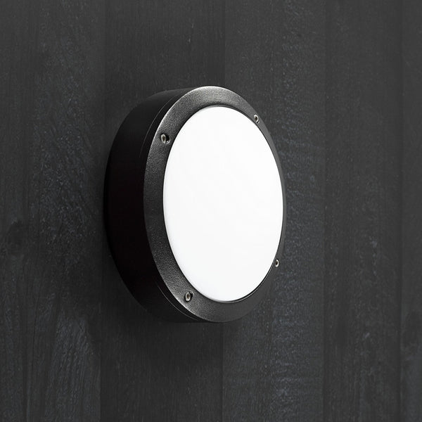 Desi 22 Outdoor IP44 Wall or Ceiling Light in Black with Opal Diffuser