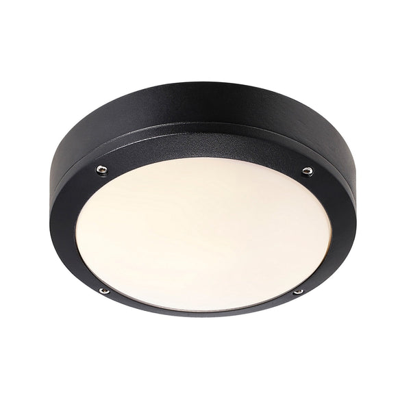 Desi 22 Outdoor IP44 Wall or Ceiling Light in Black with Opal Diffuser