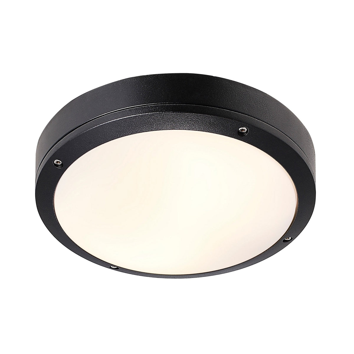 A black round ceiling or wall light with a white diffuser on a white background, viewed from below.