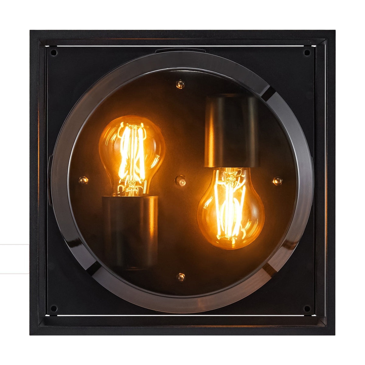 Griffin Outdoor IP44 Ceiling Light In Black with Smoked Diffuser