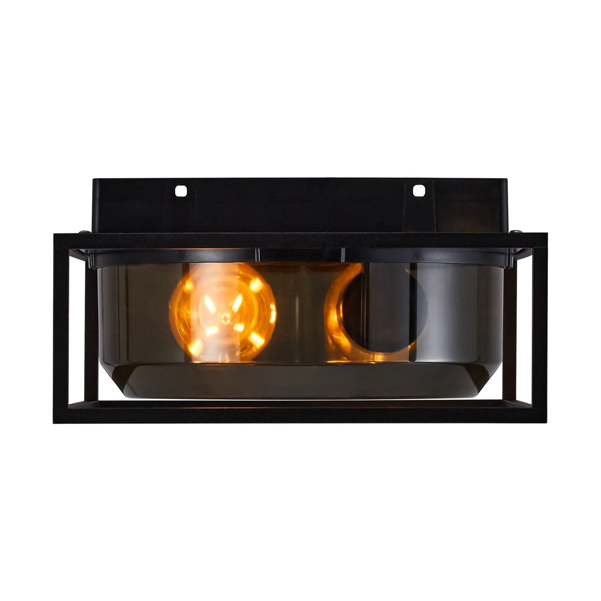 Griffin Outdoor IP44 Ceiling Light In Black with Smoked Diffuser