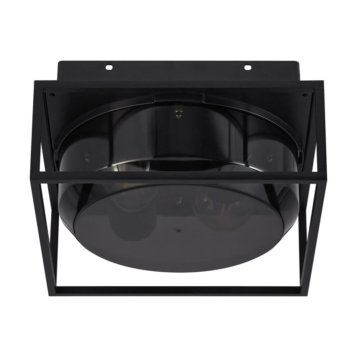 Griffin Outdoor IP44 Ceiling Light In Black with Smoked Diffuser