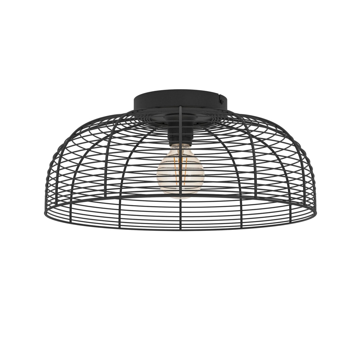 Rinroe Ceiling Light with Black Wired-Caged Design Lampshade