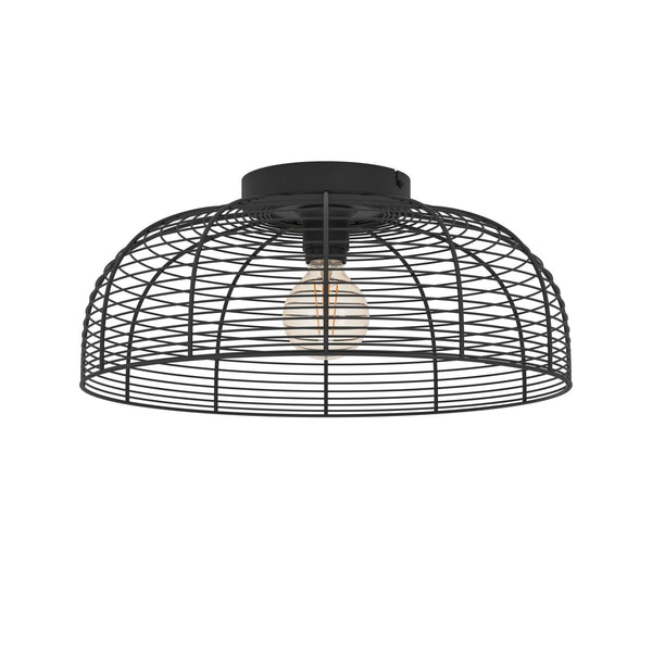 Rinroe Ceiling Light with Black Wired-Caged Design Lampshade
