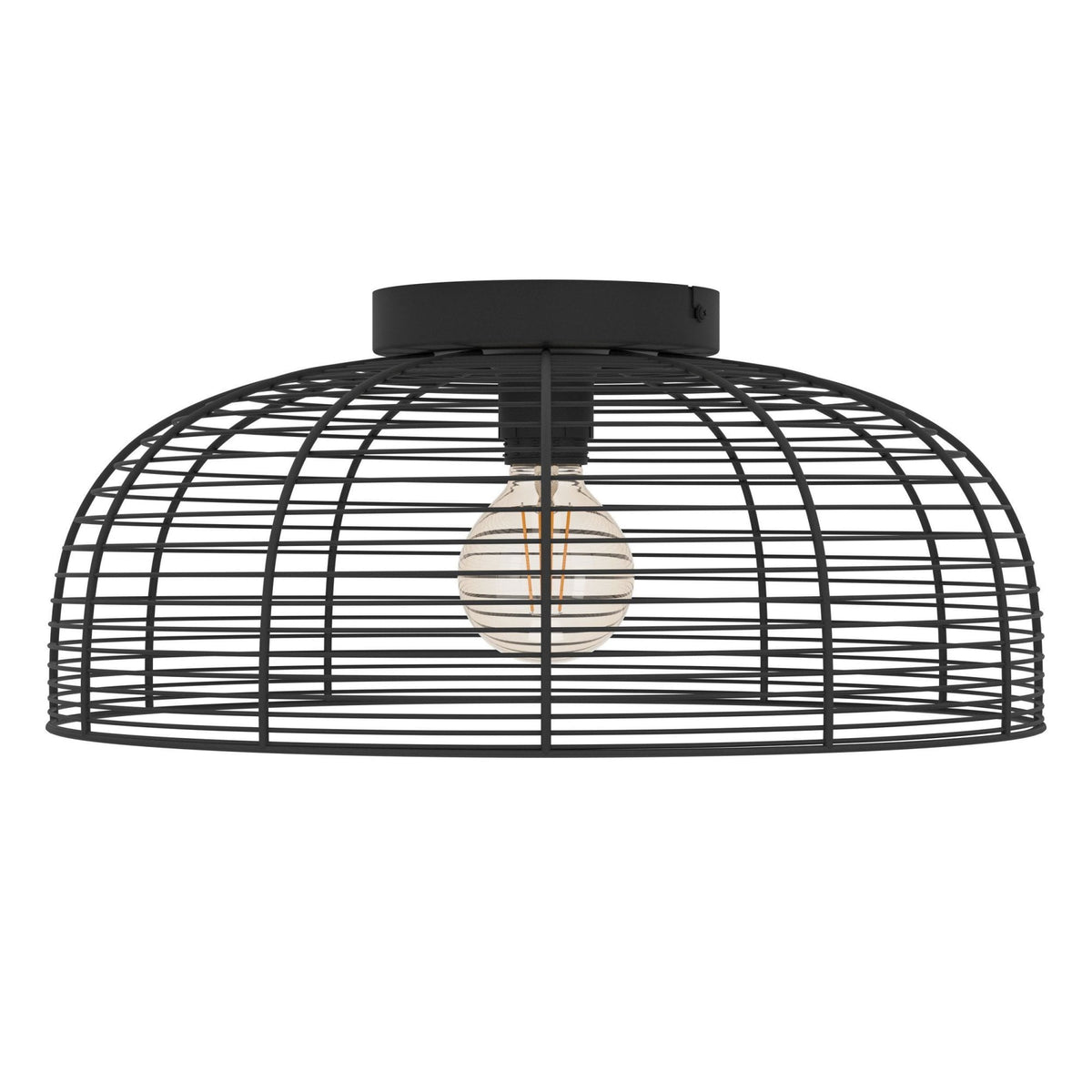 Rinroe Ceiling Light with Black Wired-Caged Design Lampshade