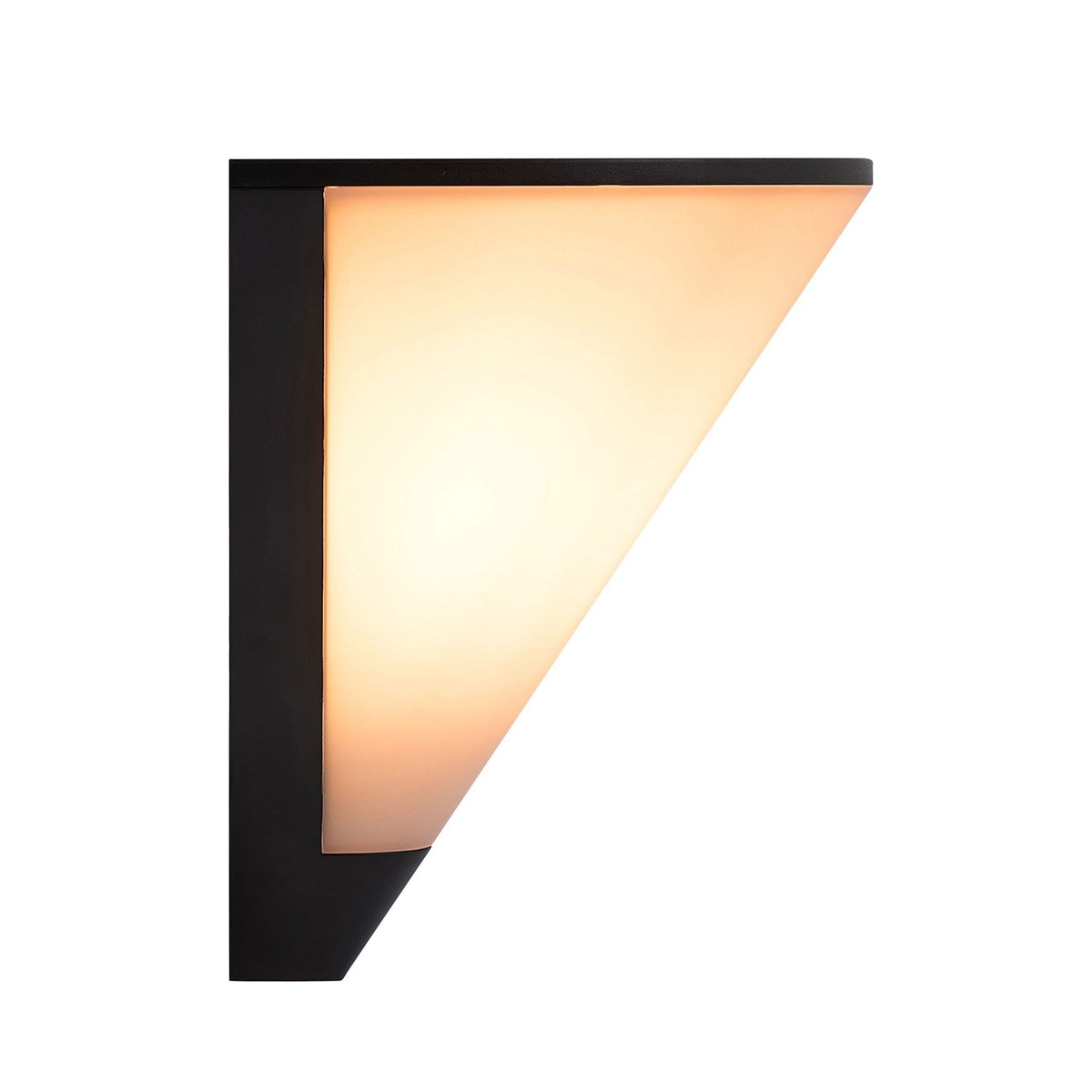Noorstad IP44 Wall Light in Black