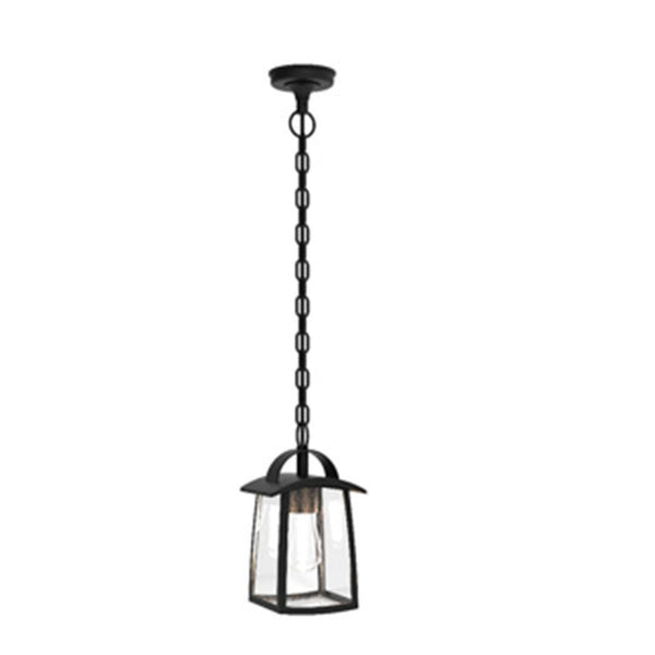 Kelsey Clear Glass Exterior Pendant in Black