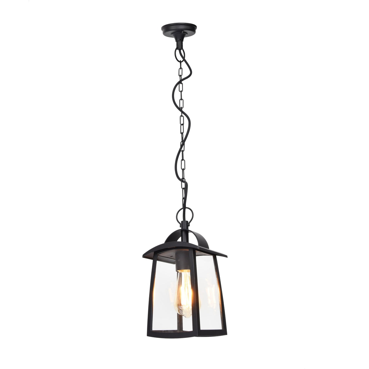 Kelsey Clear Glass Exterior Pendant in Black