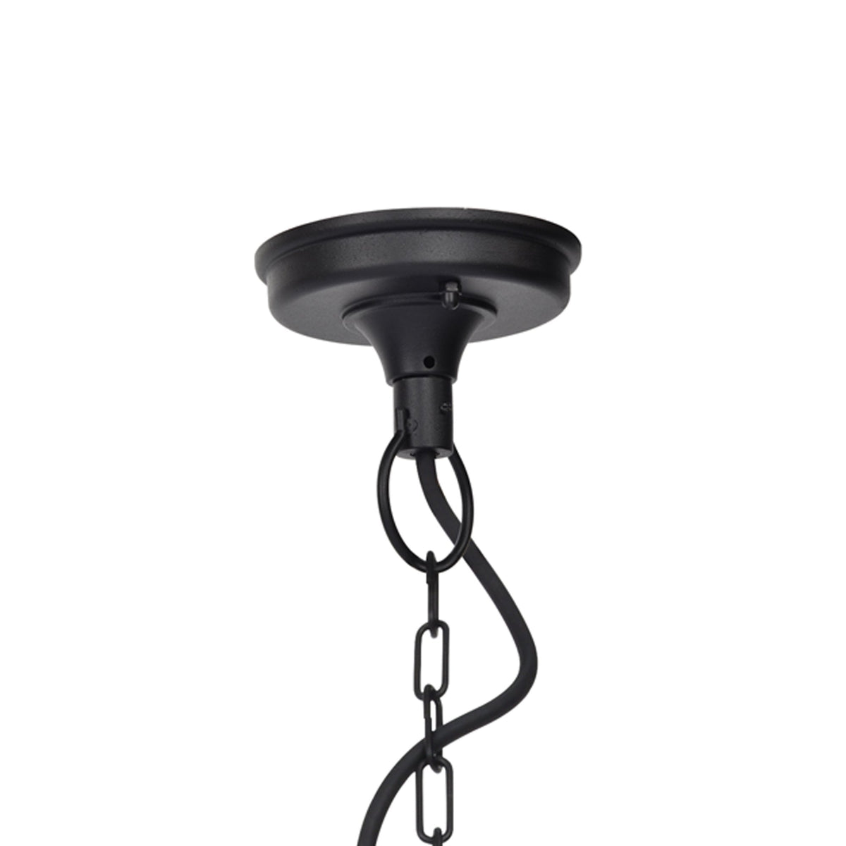 Kelsey Clear Glass Exterior Pendant in Black