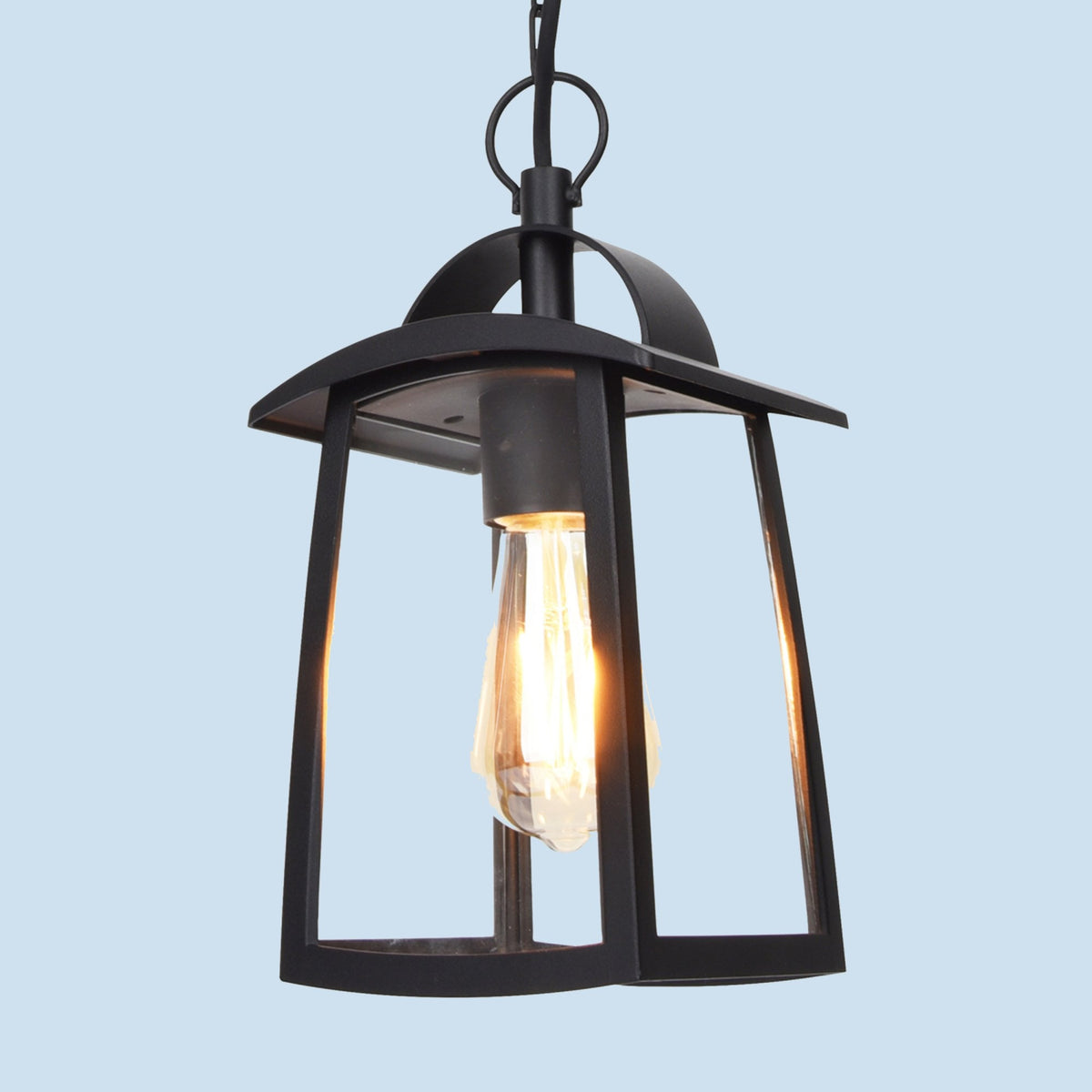 Kelsey Clear Glass Exterior Pendant in Black