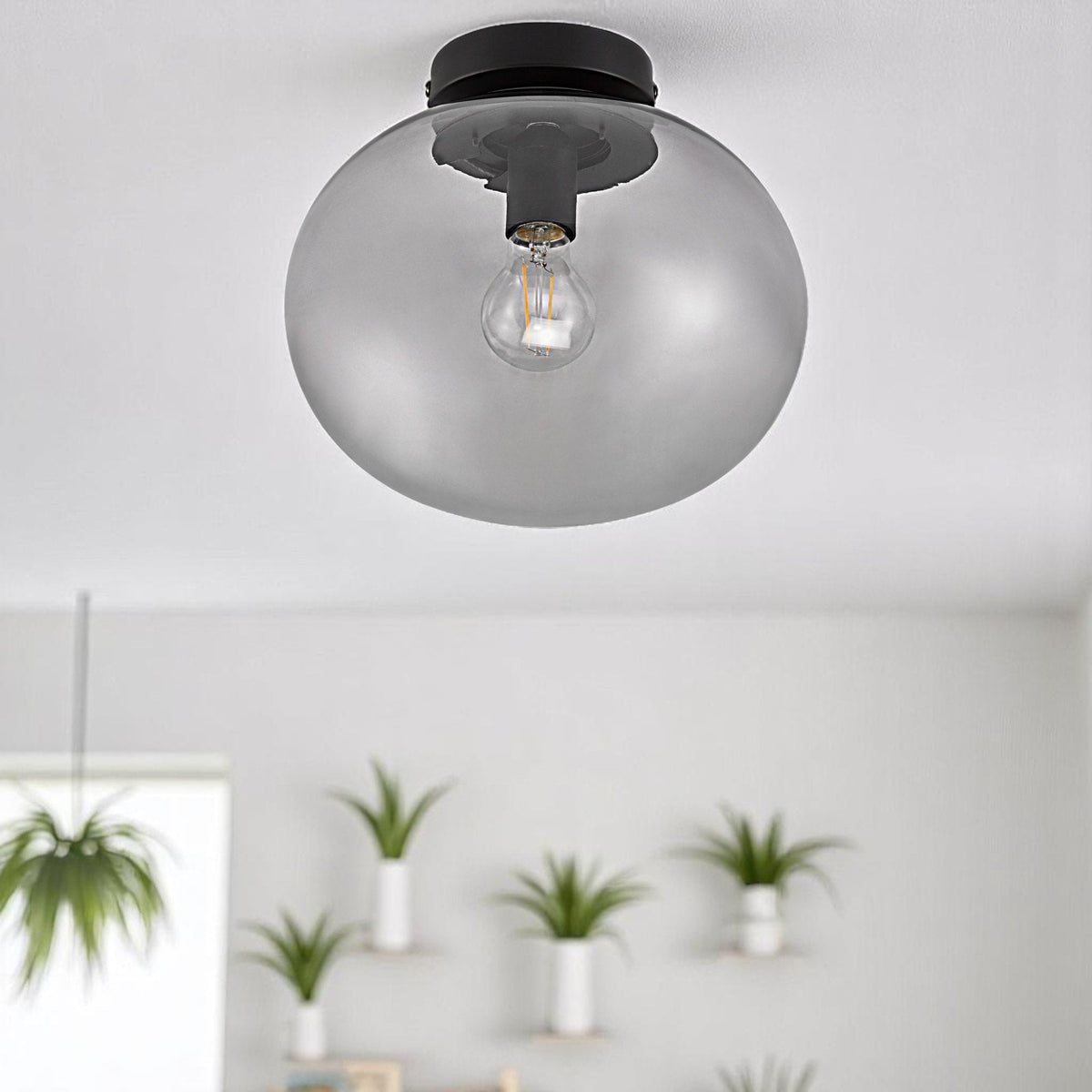 Alton Ceiling Light with Smoked Shade in Black