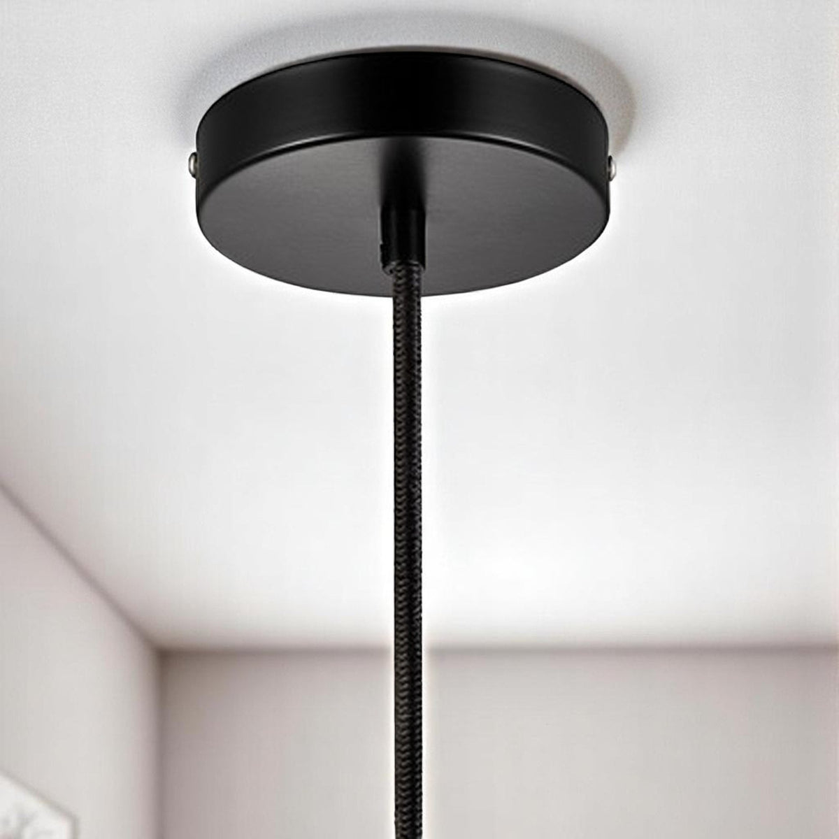 Alton 23 Smoked Glass Pendant In Black