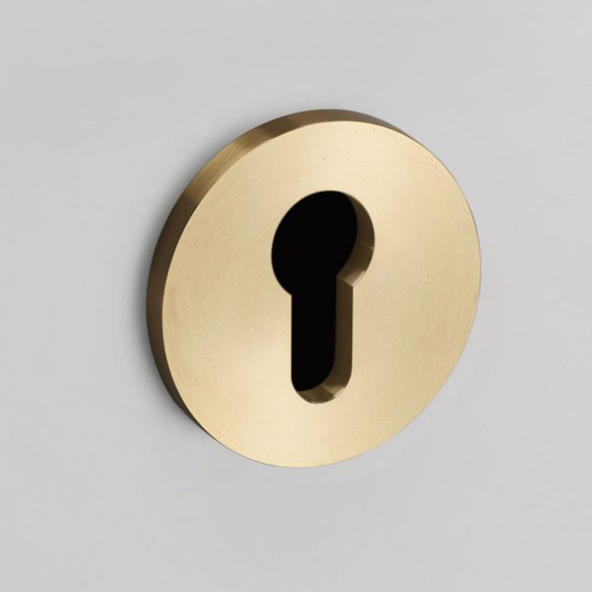 Pair of Indoor Euro Cylinder Key Escutcheons In Brass