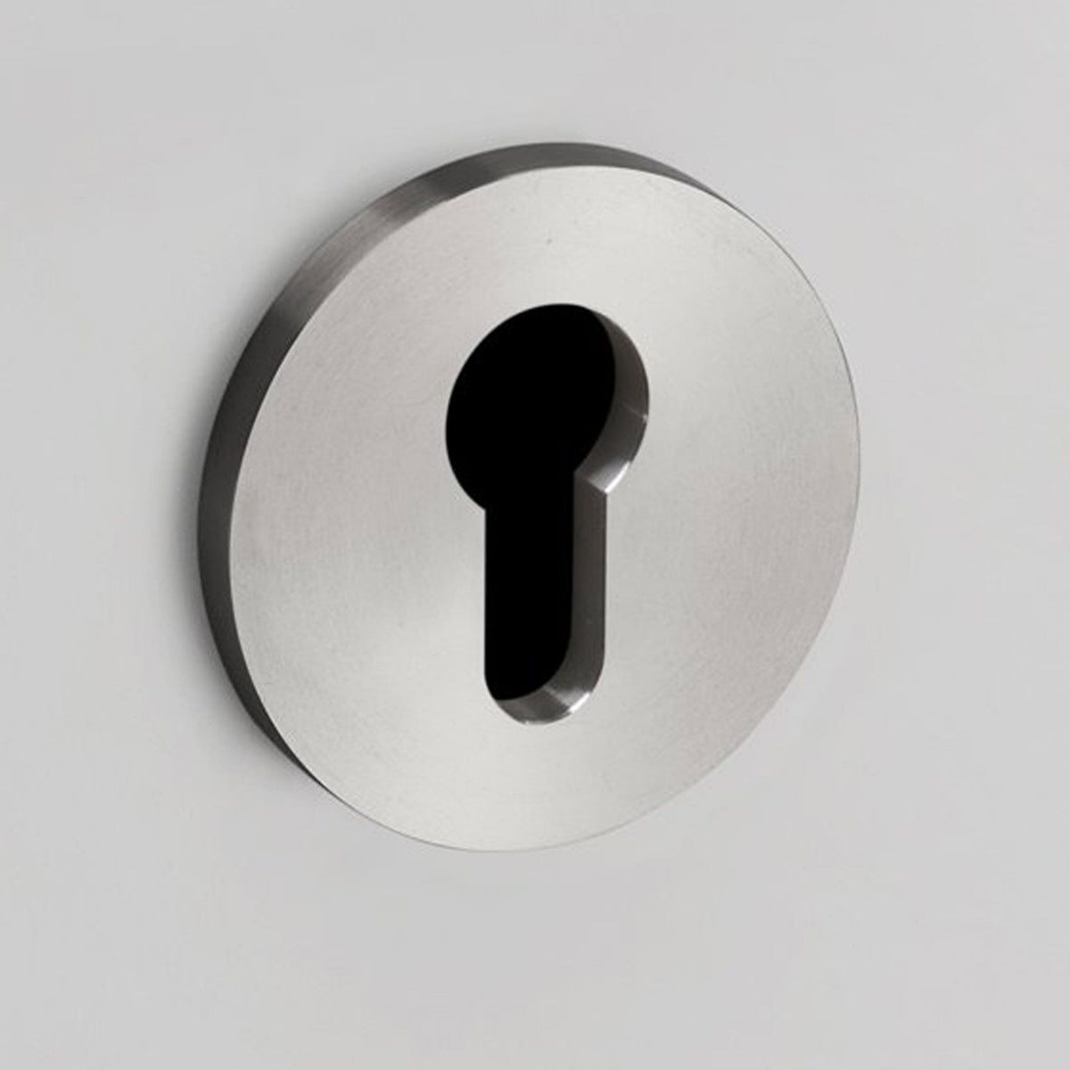 Pair of Indoor Euro Cylinder Key Escutcheons In Steel