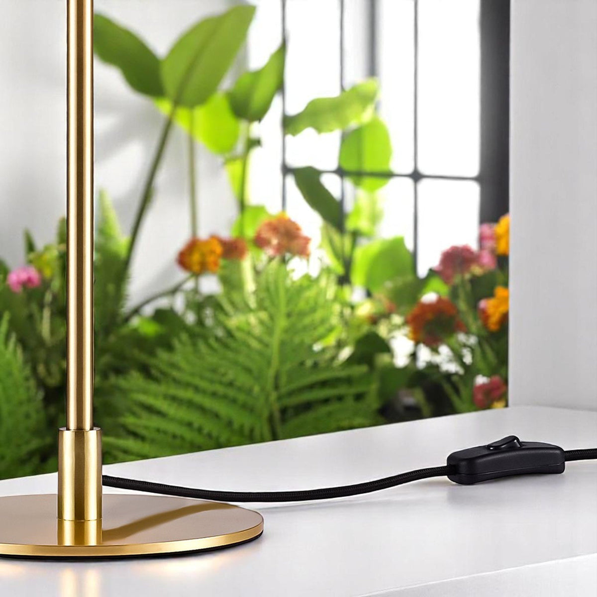 Clasi Table Lamp in Black With Brass Detailing