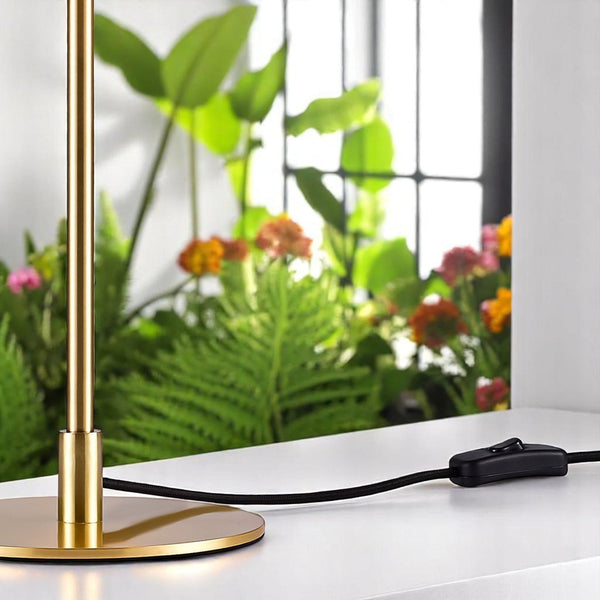 Clasi Table Lamp in Black With Brass Detailing