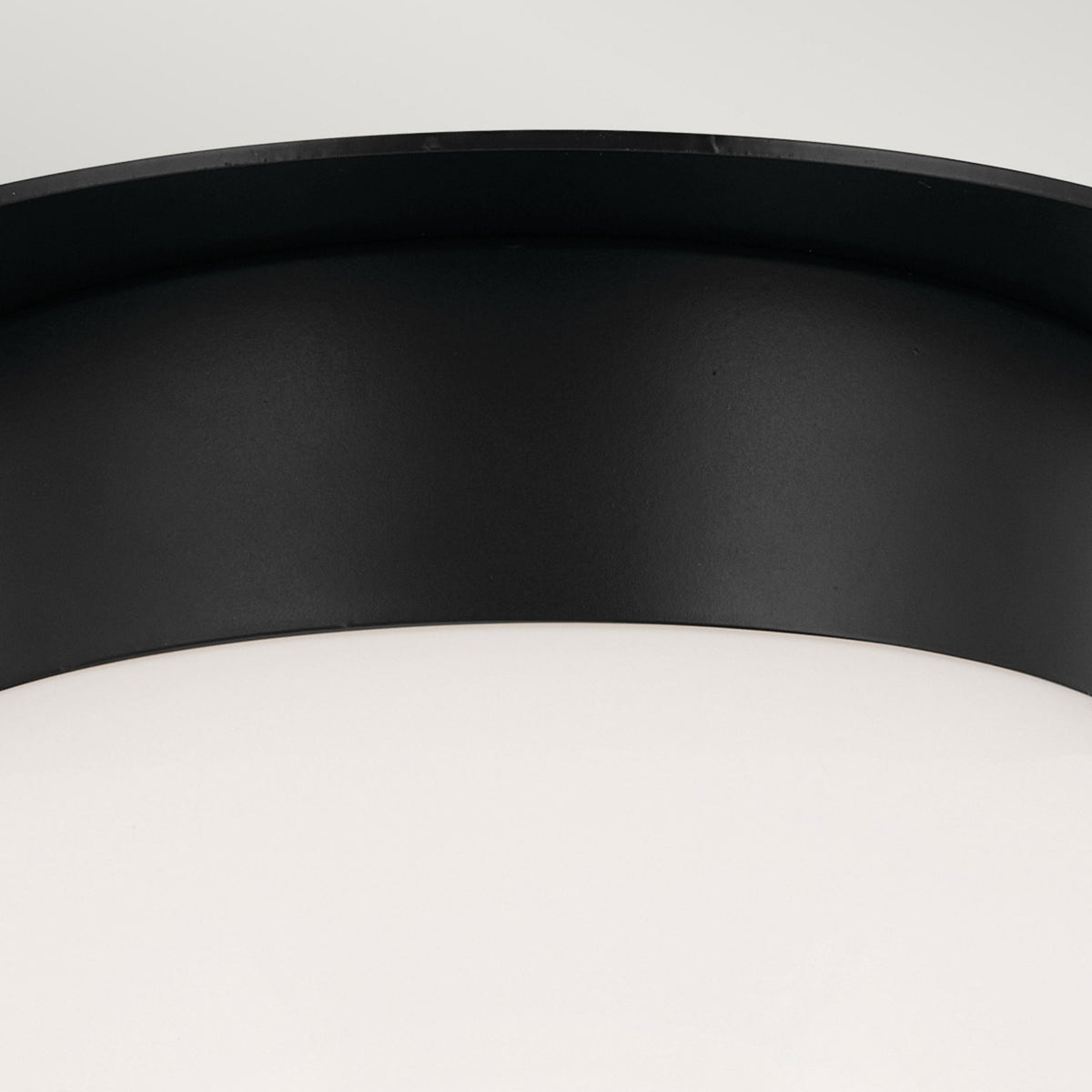 Albers Flush Ceiling Light in Black with Globe Shaped Opal Glass Shade