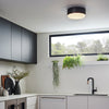 Cedric Small Flush Mount Ceiling Light in Black with Etched Opal Glass Diffuser