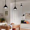 Niva Wall or Pendant or Semi Flush Light in Black with Satin Etched Opal Glass