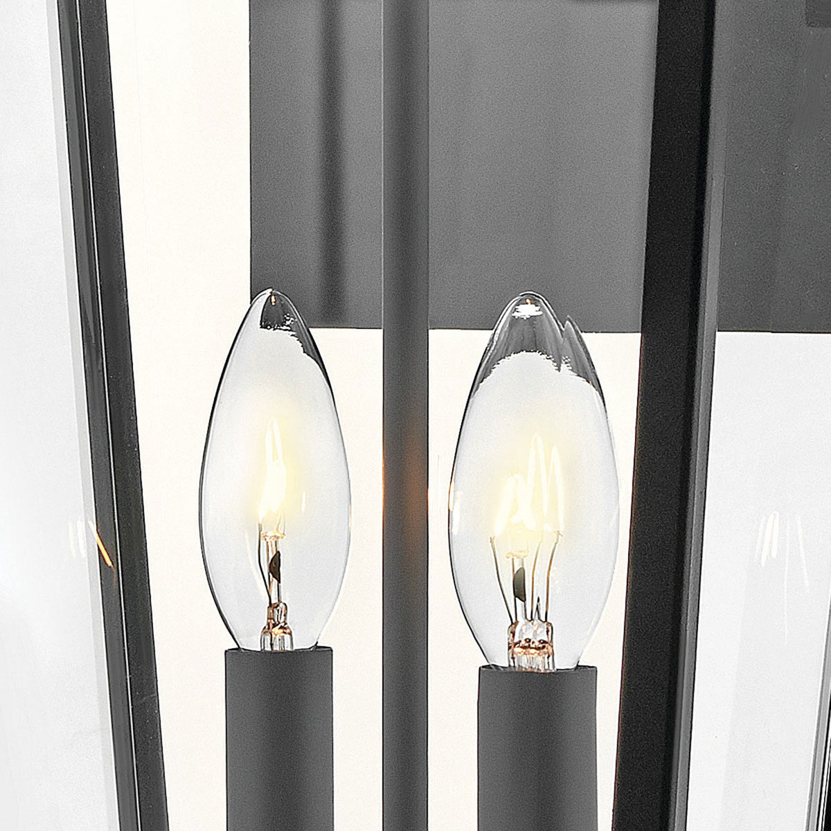 Dawson IP44 Large Wall Lantern in Black with Burnished Bronze Accent and Clear Glass