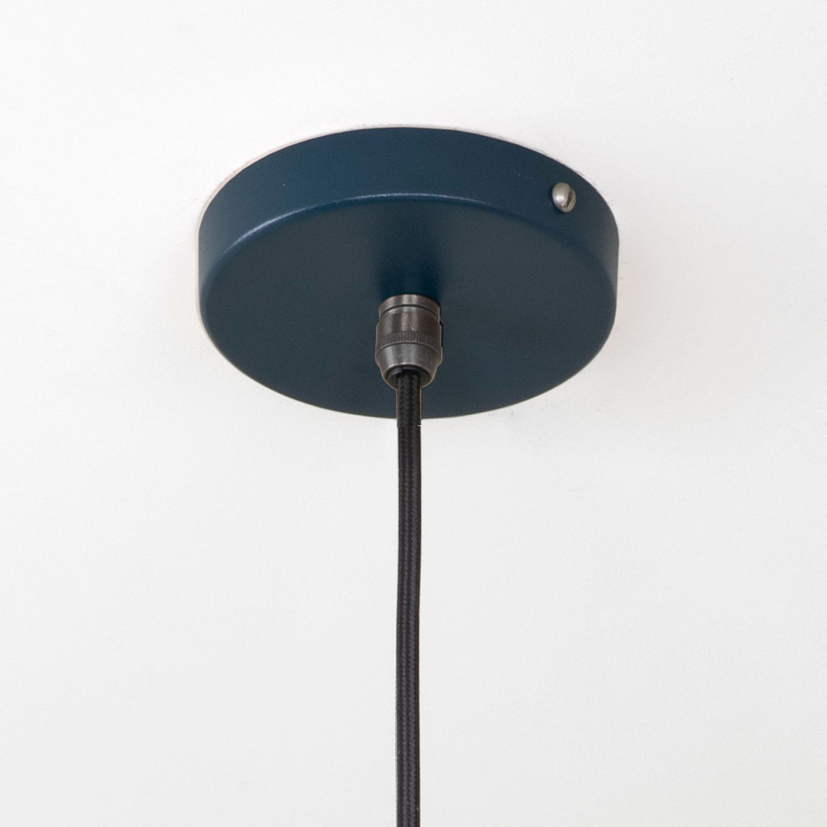 Smooth Brass Flora Pendant in Dusk