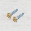 A Pair of Replacement Coin Caps with Screws For Switches in Brass