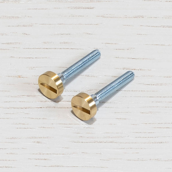 A Pair of Replacement Coin Caps with Screws For Switches in Brass