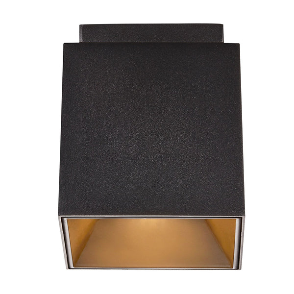 Ethan Surface Mounted Fixed Downlight Matt Black & Gold