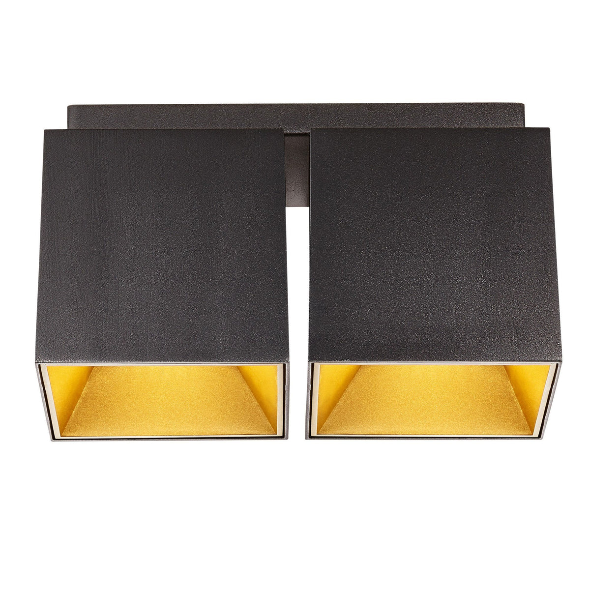 Ethan Surface Mounted Fixed Twin Downlight Matt Black & Gold