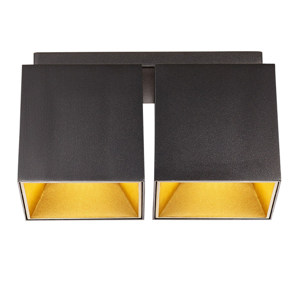 Ethan Surface Mounted Fixed Twin Downlight Matt Black & Gold